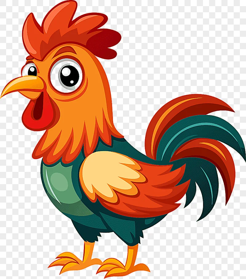 png clipart rooster bird farm chicken animal cartoon