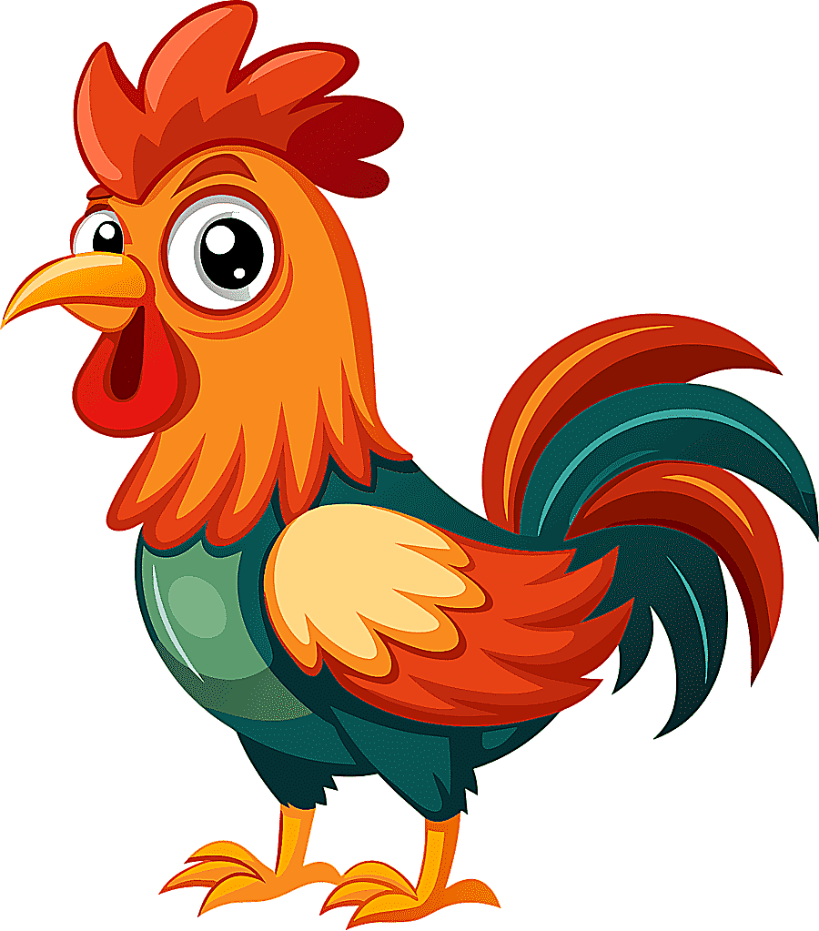 png clipart rooster bird farm chicken animal cartoon
