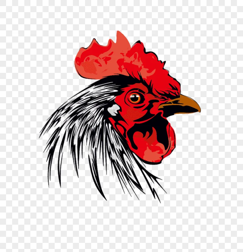 png clipart rooster chicken bochicha chicken glass animals