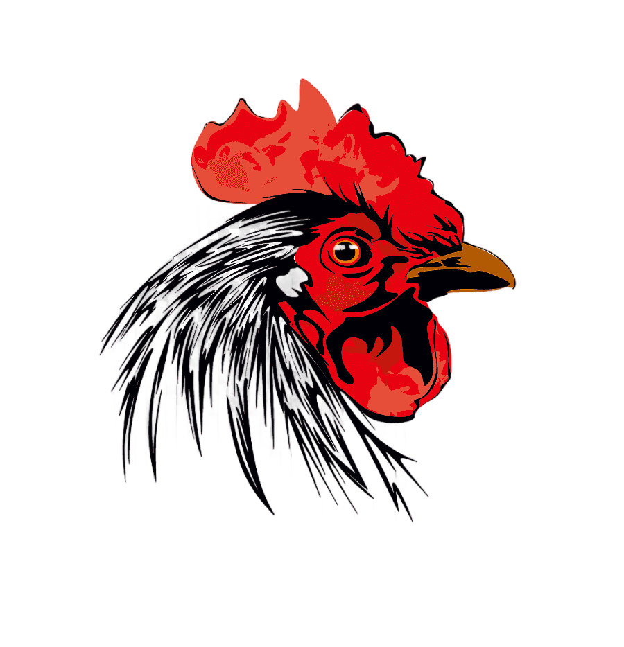 png clipart rooster chicken bochicha chicken glass animals