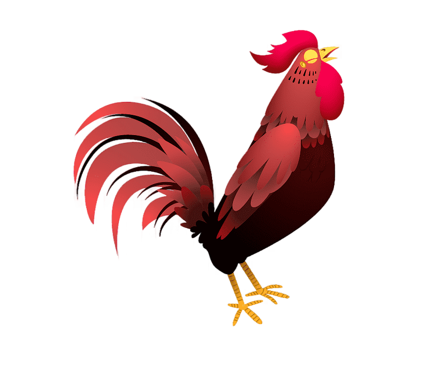 png clipart rooster chicken drawing cartoon cartoon chicken crow cartoon character animals
