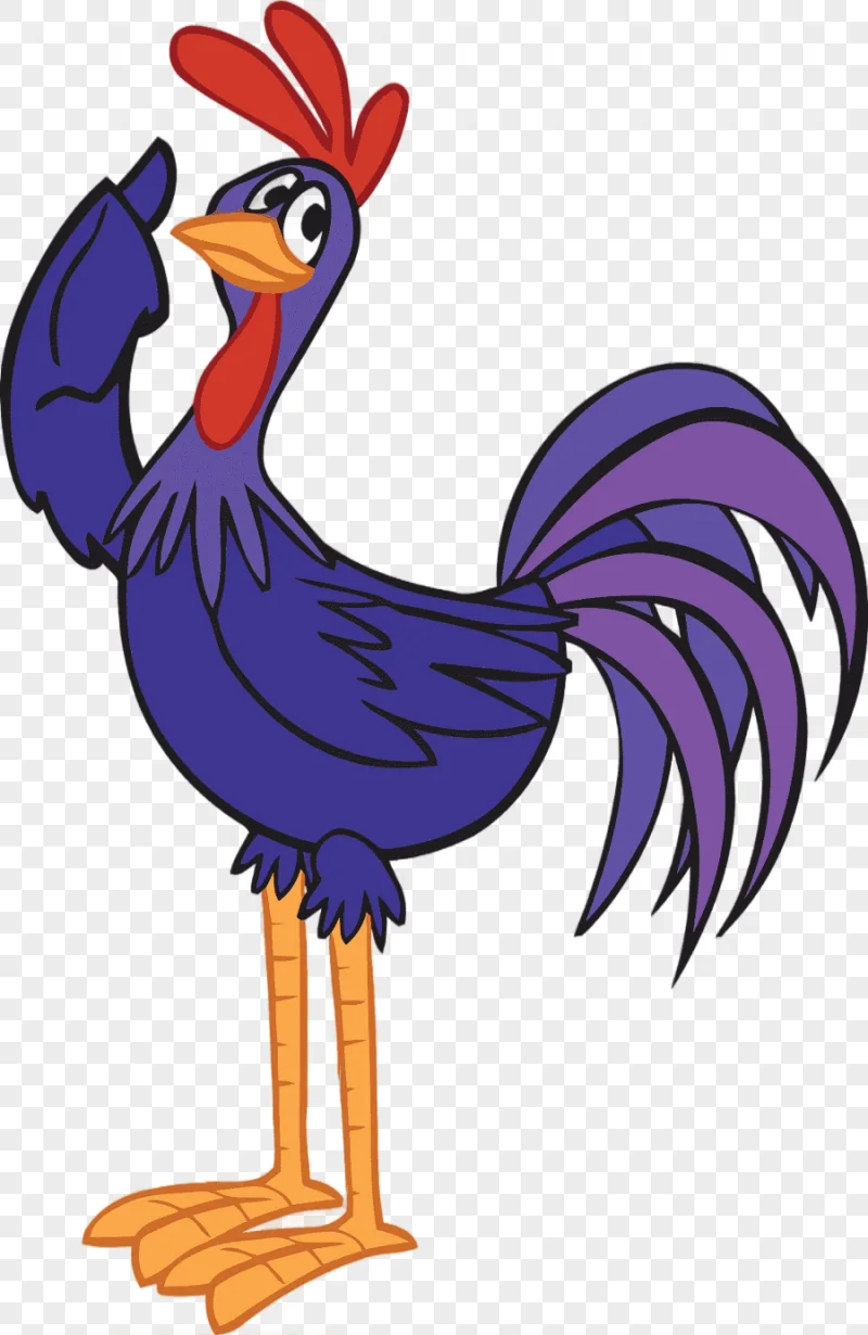 png clipart rooster chicken galinha pintadinha e sua turma pintinho amarelinho chicken pur