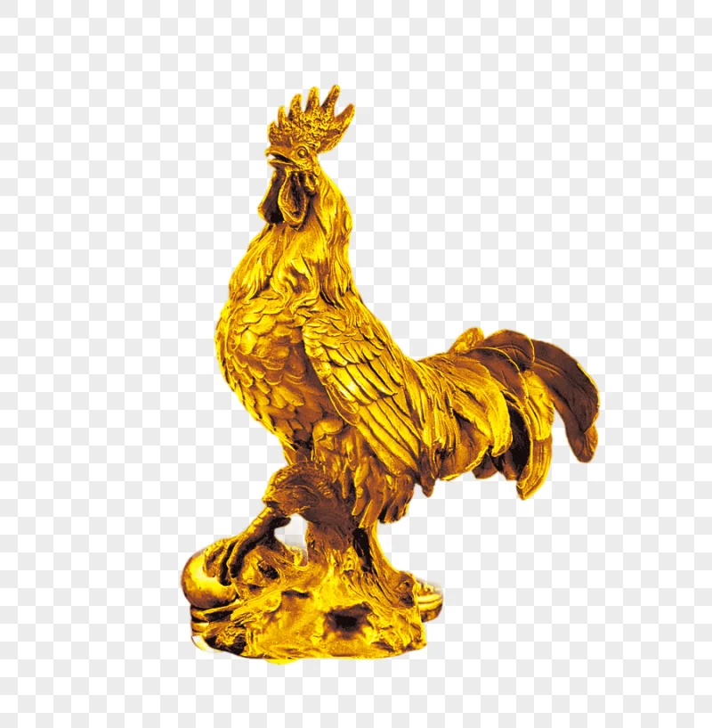 png clipart rooster chicken golden chicken golden frame animals