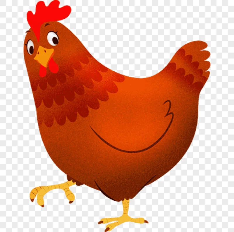png clipart rooster chicken hen sticker child chicken animals orange