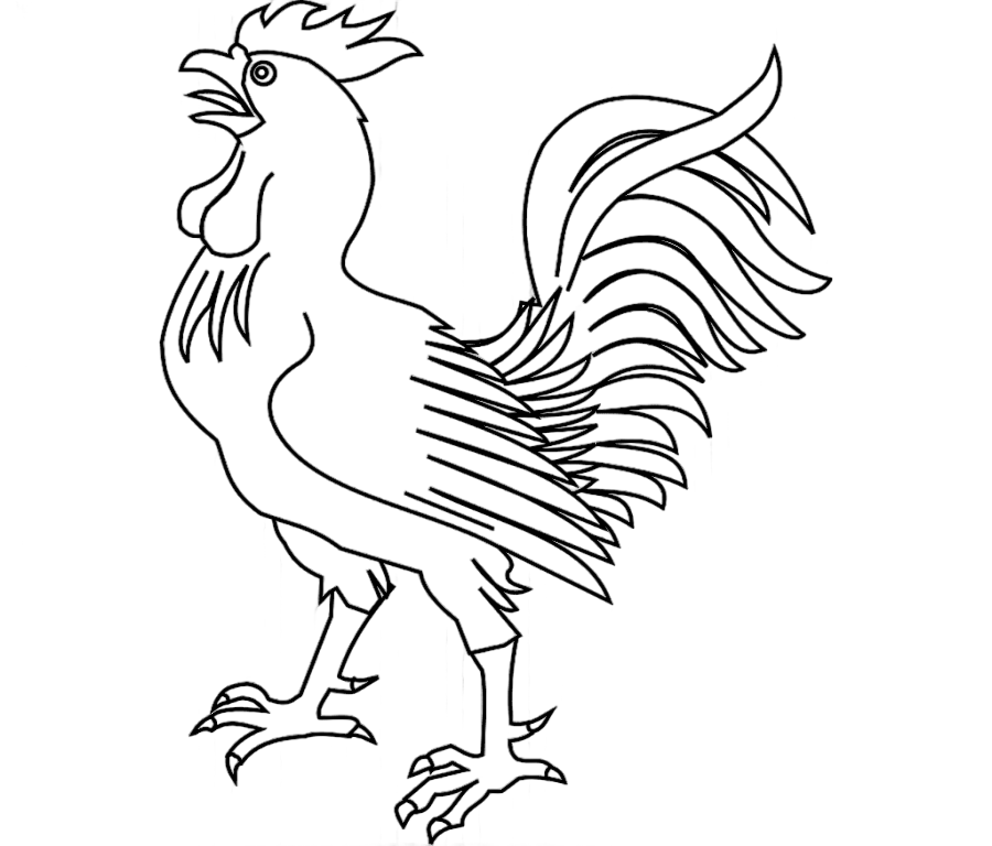 png clipart rooster drawing chicken chicken white furniture