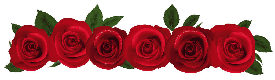 png clipart rose red red roses seven red rose flowers illustration flower arranging artifi