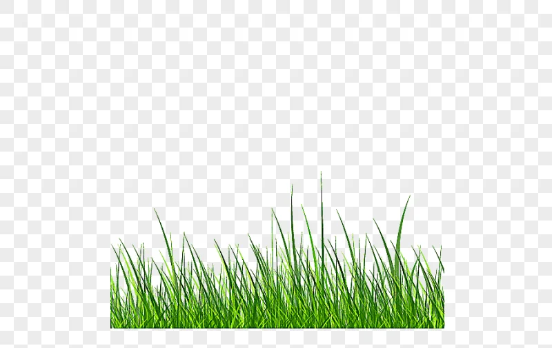 png clipart samsung galaxy s6 grass green grass grass green vector