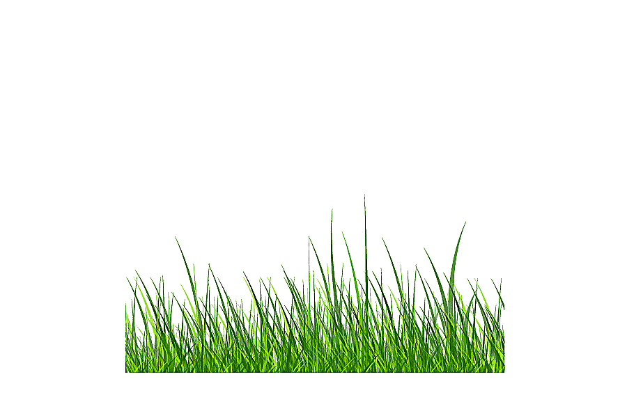 png clipart samsung galaxy s6 grass green grass grass green vector
