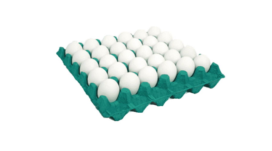 png clipart scrambled eggs chicken quail eggs mg ovos chicken animals chicken