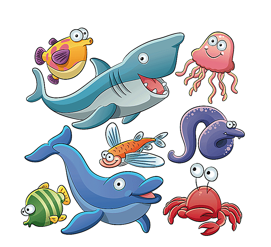 png clipart sea otter aquatic animal cartoon shark marine mammal animals