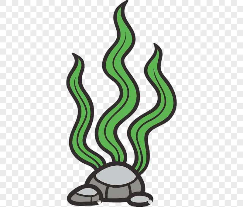 png clipart seaweed seagrass cartoon cartoon seaweed cartoon character seafood