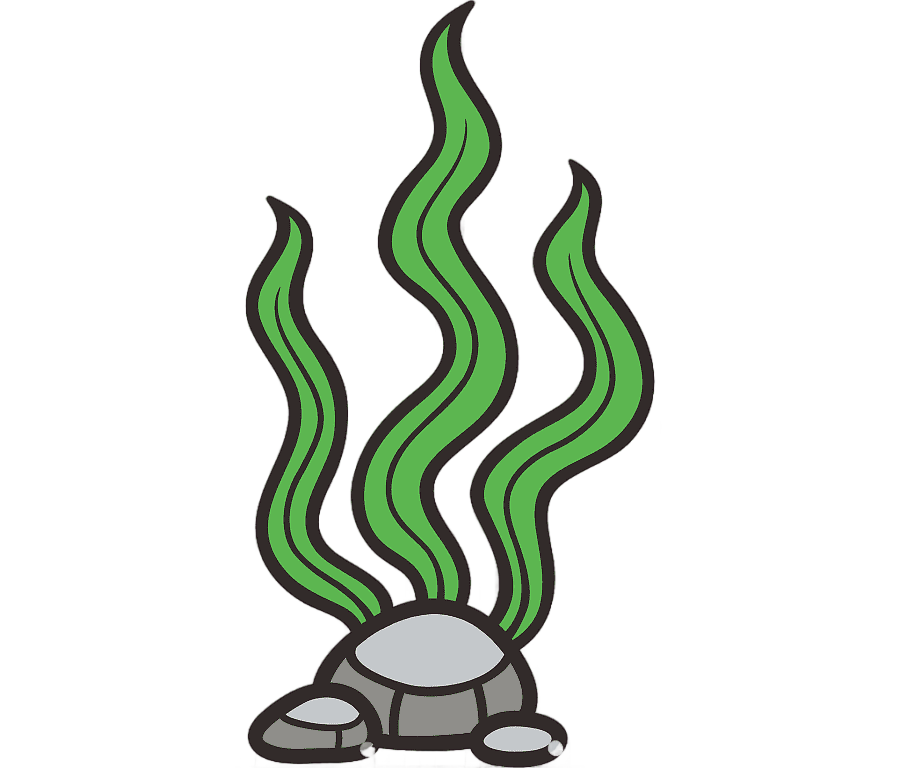 png clipart seaweed seagrass cartoon cartoon seaweed cartoon character seafood