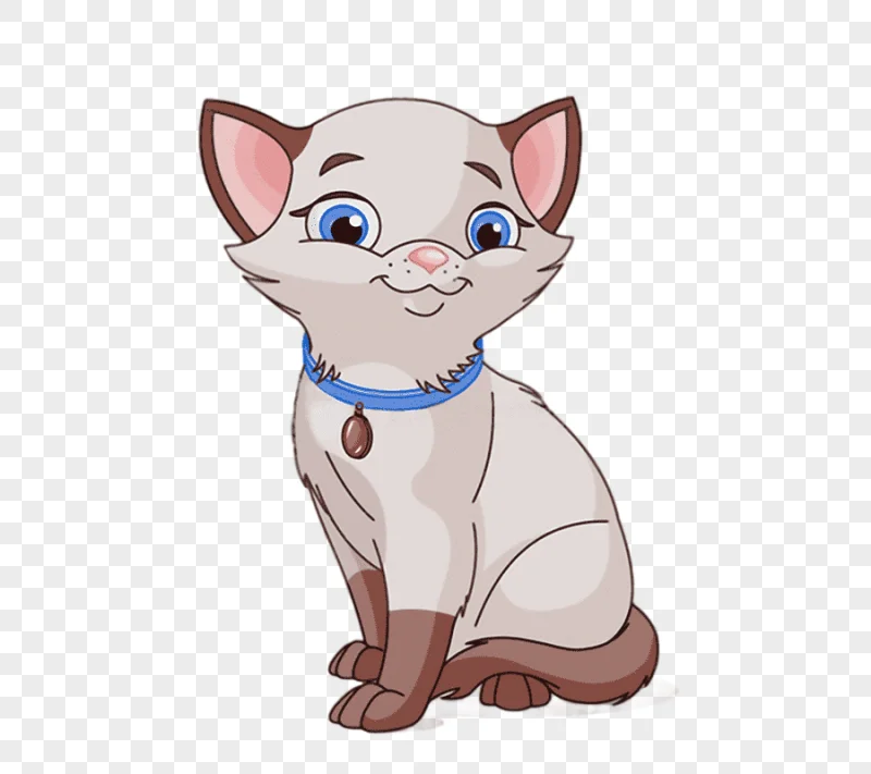 png clipart siamese cat cartoon cat mammal cat like mammal