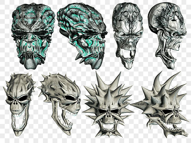 png clipart skull skeleton bone griffin little icon skull material camera icon phone icon