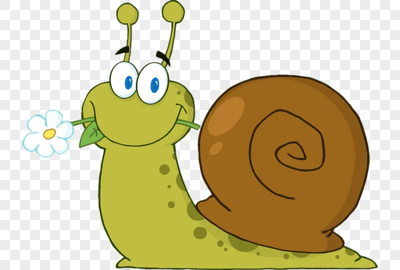 png clipart snail cartoon cartoon snail cartoon character animals