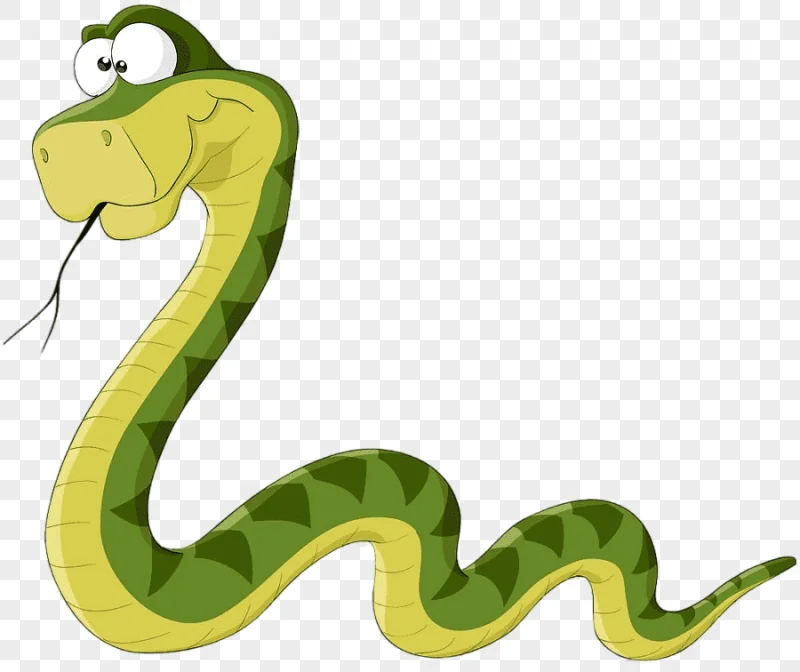 png clipart snake cartoon graphy cartoon snake cartoon character animals