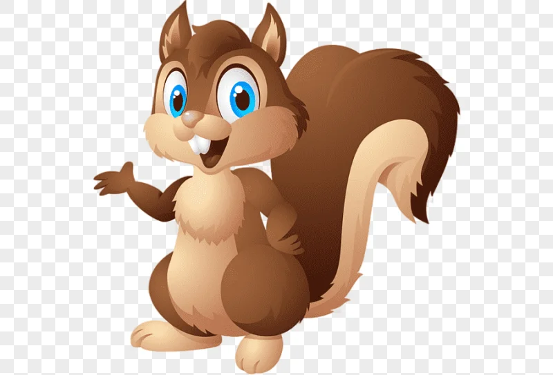 png clipart squirrel cartoon squirrel mammal animals