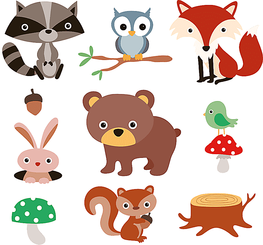 png clipart squirrel raccoon cartoon forest 9 cartoon forest animals and plants material a