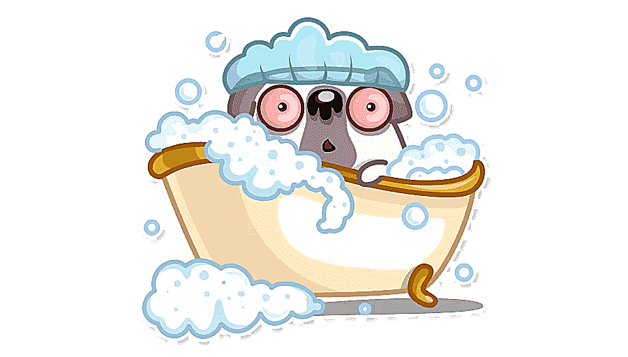 png clipart sticker pug pug food vertebrate