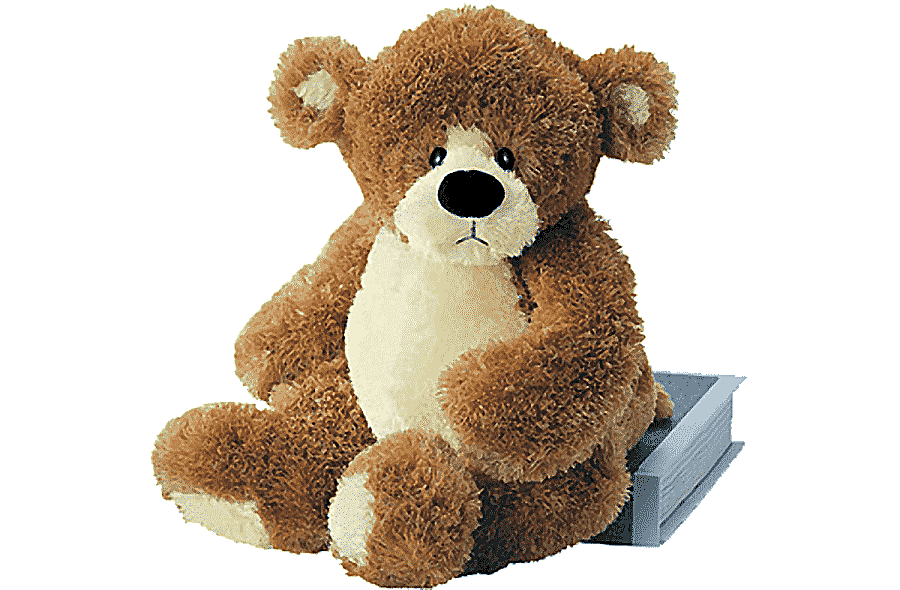 png clipart teddy bear gund enesco stuffed toy furry teddy bear doll brown animals