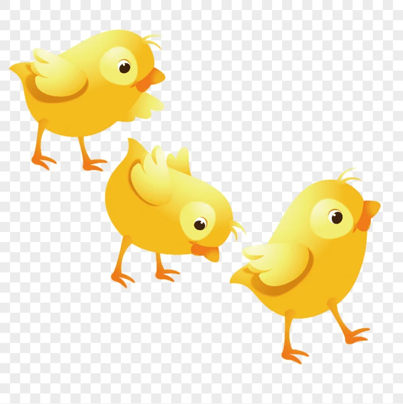 png clipart three yellow chicks chicken buffalo wing duck illustration lovely chicken love
