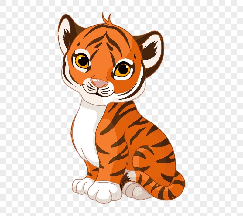 png clipart tiger cartoon enfant mammal animals
