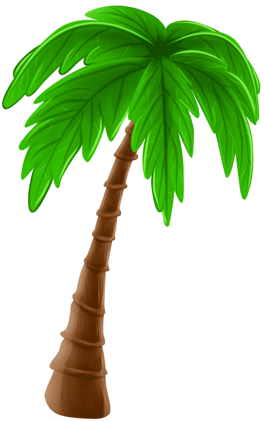 png clipart tree arecaceae cartoon coconut tree leaf palm tree
