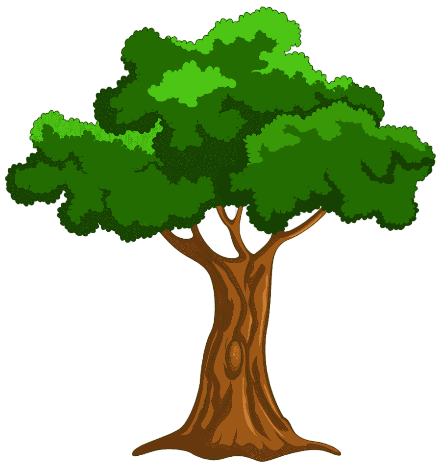 png clipart tree cartoon drawing cartoon tree s leaf grass