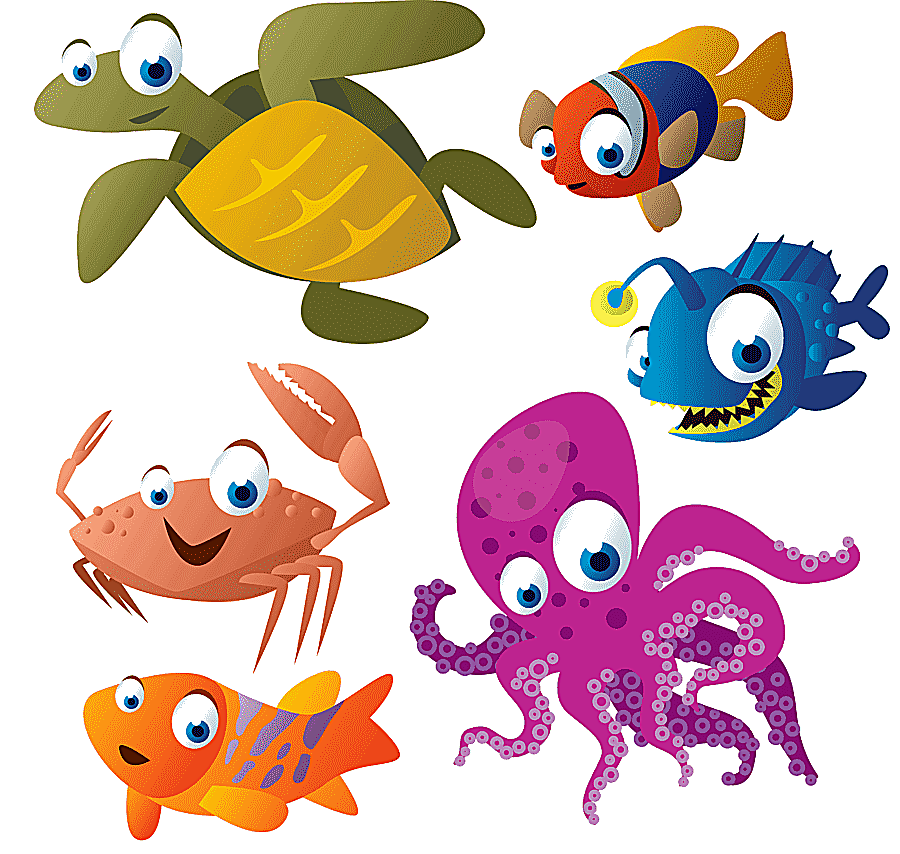 png clipart turtle cartoon aquatic animal drawing cartoon fish animals baby toys