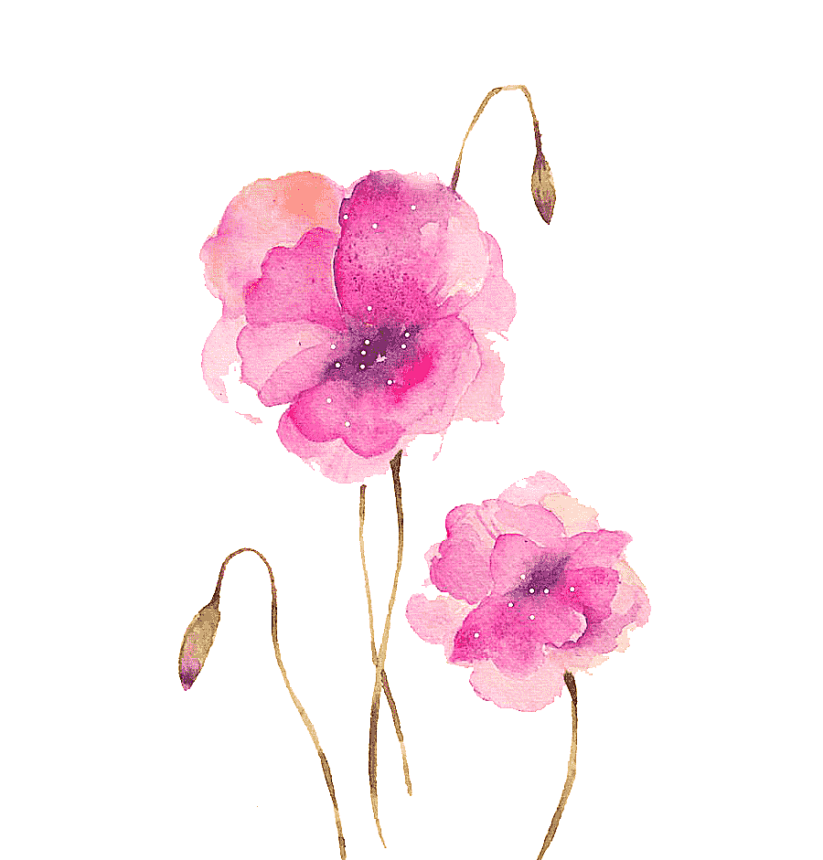 png clipart two pink petaled flowers illustration watercolour flowers watercolor painting