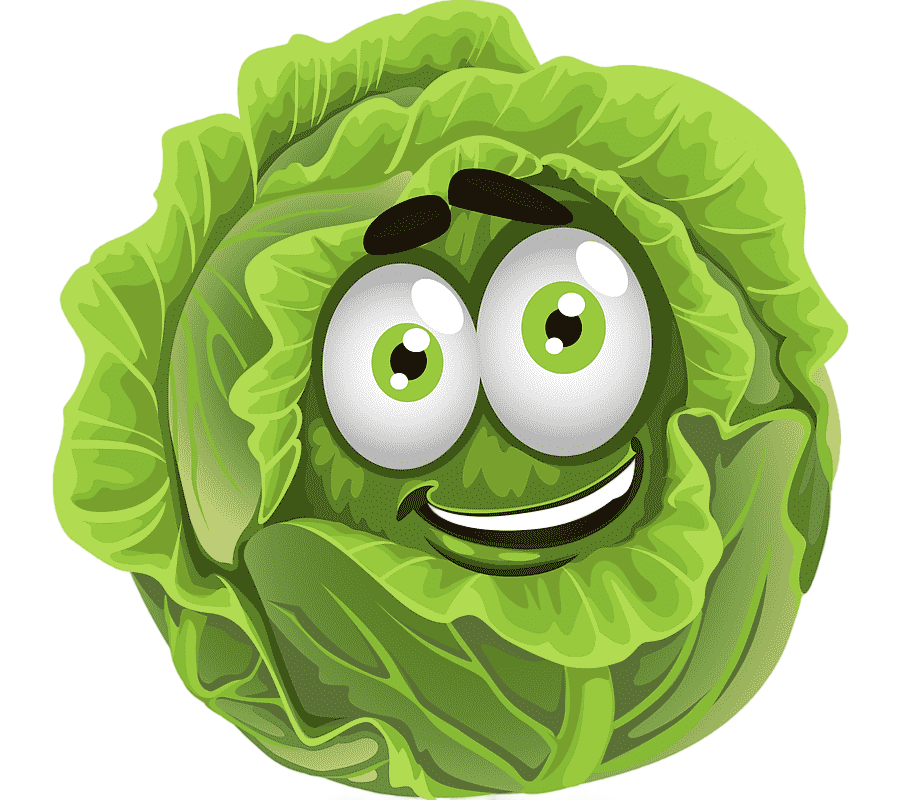 png clipart vegetable cartoon fruit cartoon cabbage cartoon character food