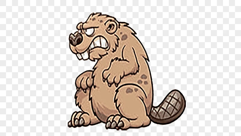png clipart vicious beaver mammal face