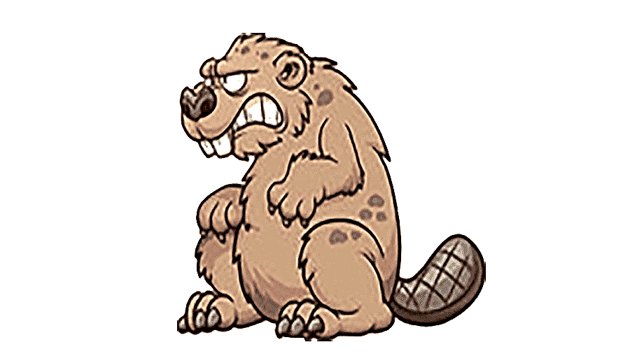 png clipart vicious beaver mammal face