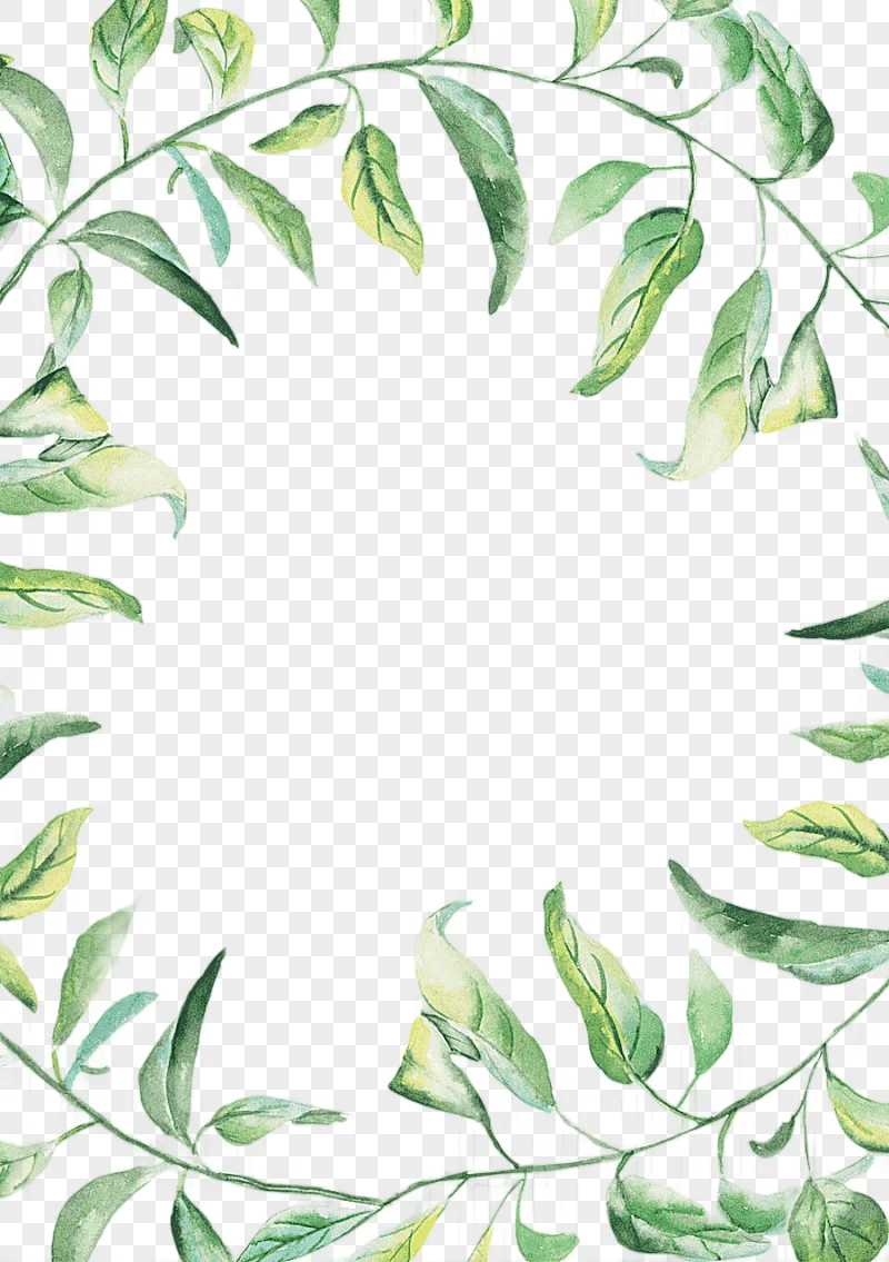 png clipart watercolor painting drawing green watercolor border painting of leaves border