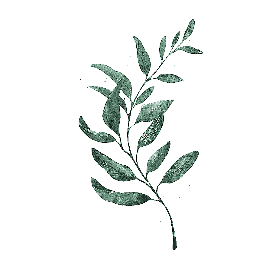 png clipart watercolor painting drawing leaf printmaking watercolor leaves green leafed pl