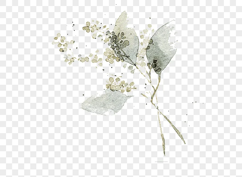 png clipart watercolor painting flower art illustration watercolor leaves white floral pai