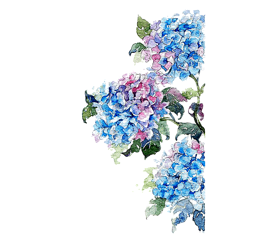 png clipart watercolor painting flower drawing watercolor flowers painting of blue and pin