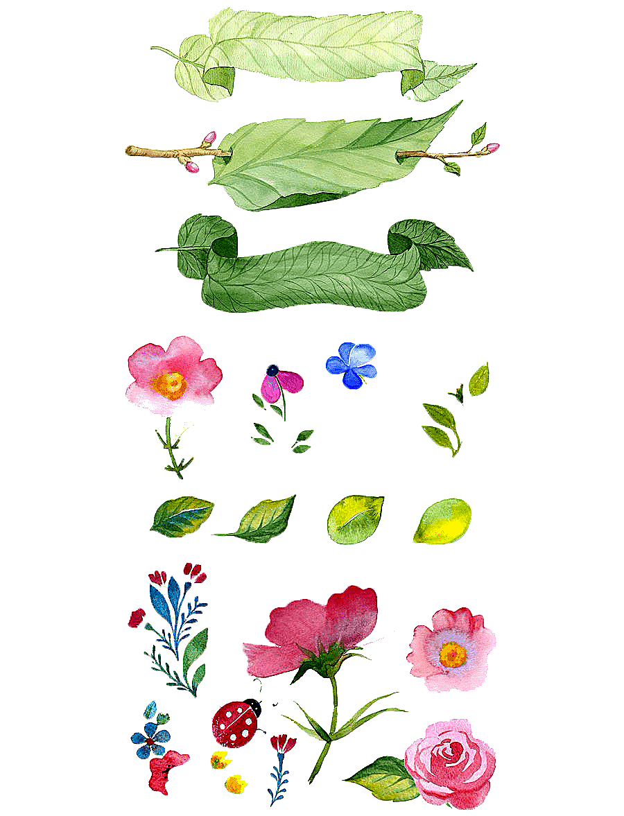 png clipart watercolor painting flower illustration hand painted flowers leafs and flowers