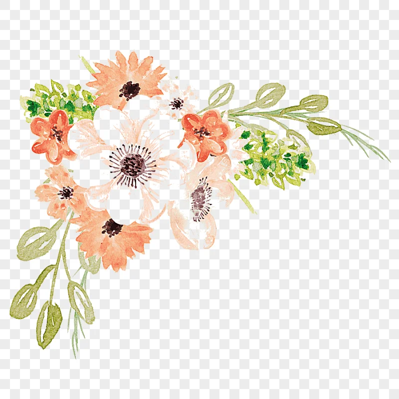 png clipart watercolor painting flower watercolor flowers white and orange flowers waterco