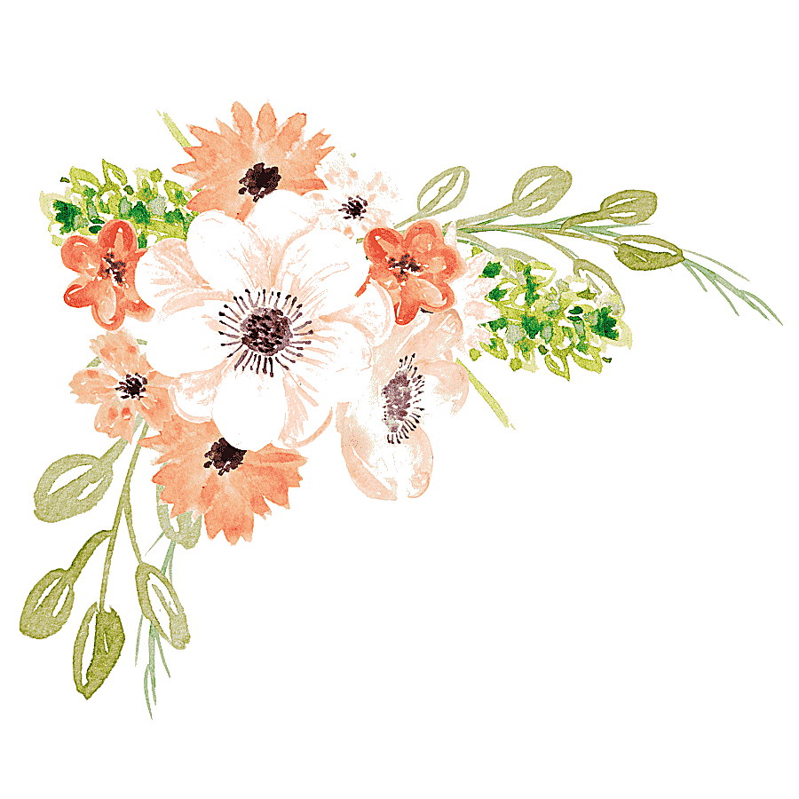 png clipart watercolor painting flower watercolor flowers white and orange flowers waterco