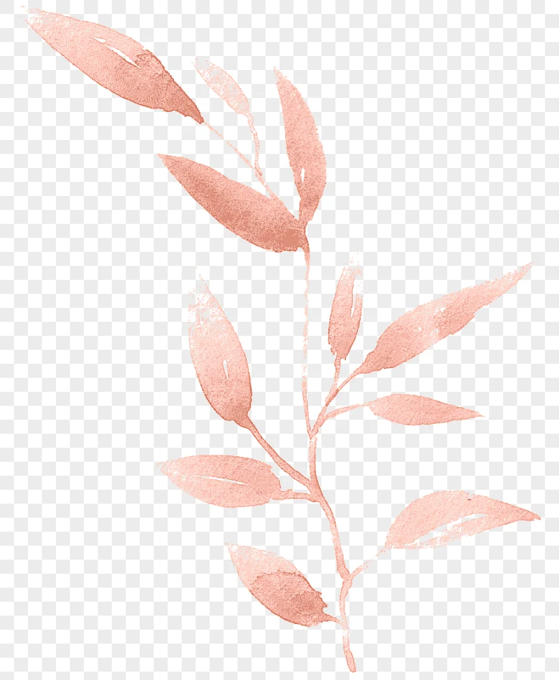 png clipart watercolor painting leaf hand painted watercolor leaves pink leaf illustration