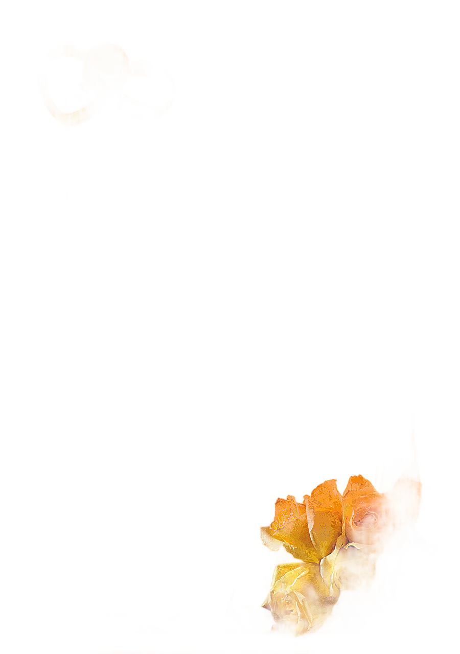 png clipart wedding invitation frame wedding frame yellow flower frame border holidays