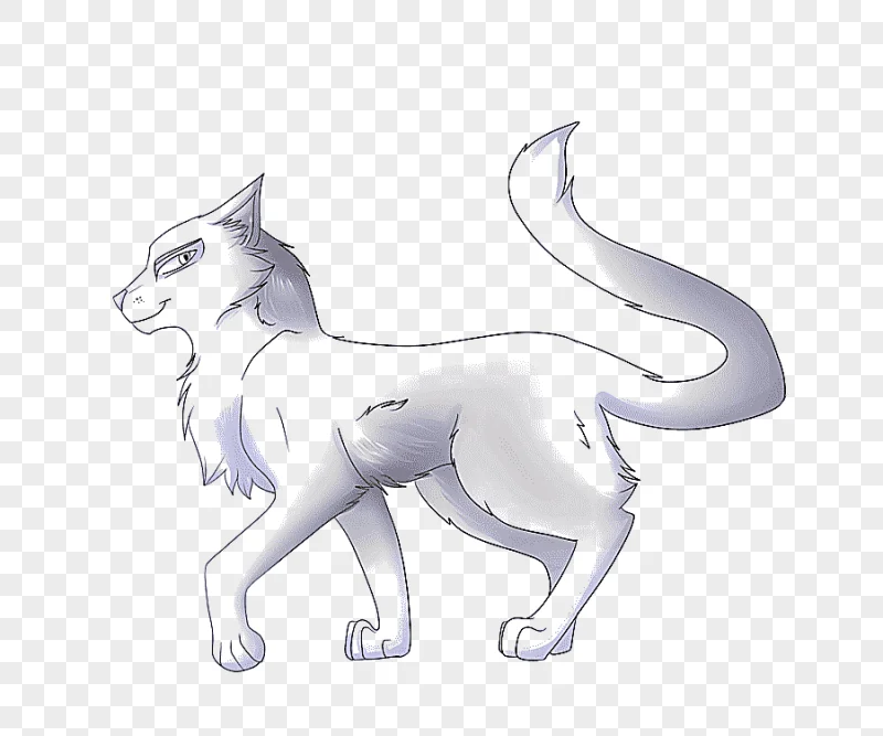 png clipart whiskers cat into the wild warriors whitestorm white cat mammal animals
