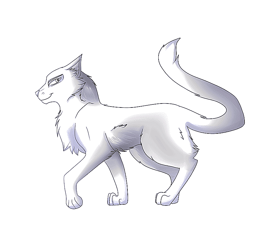 png clipart whiskers cat into the wild warriors whitestorm white cat mammal animals