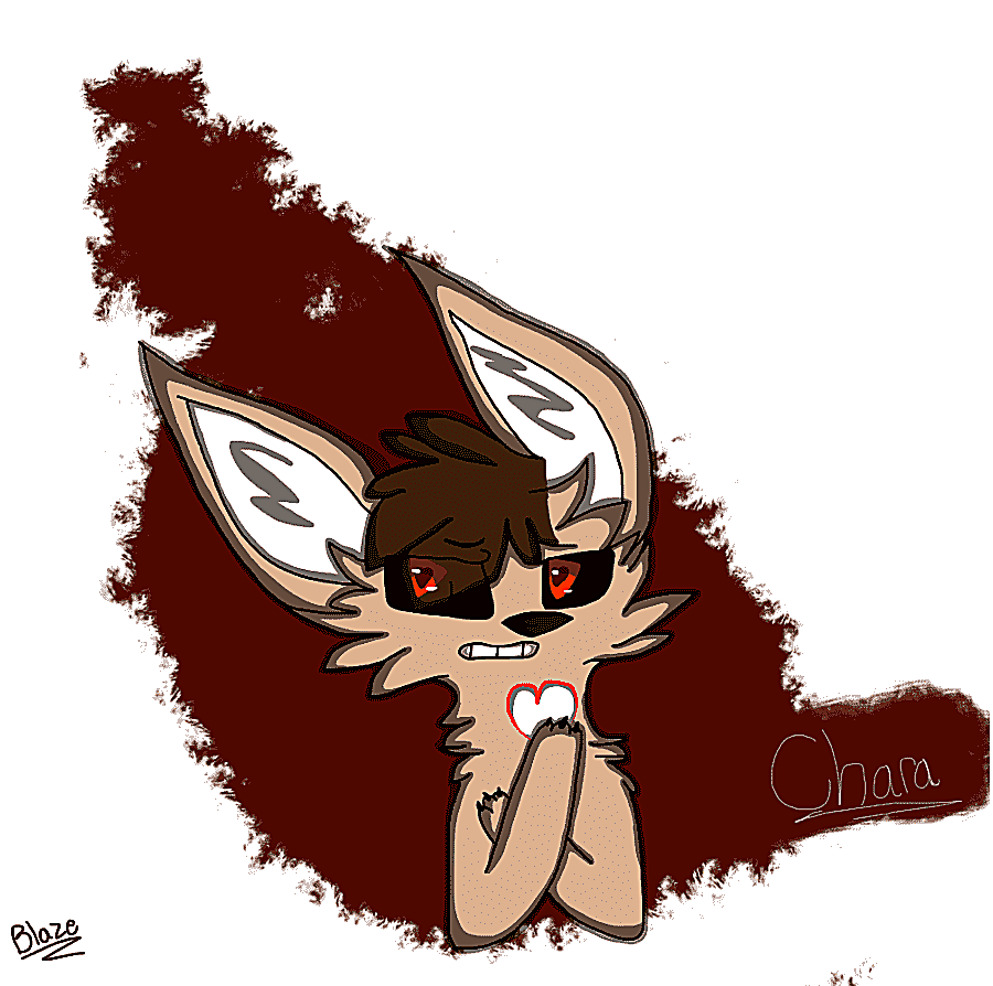 png clipart whiskers cat undertale kitten gray wolf cat mammal animals