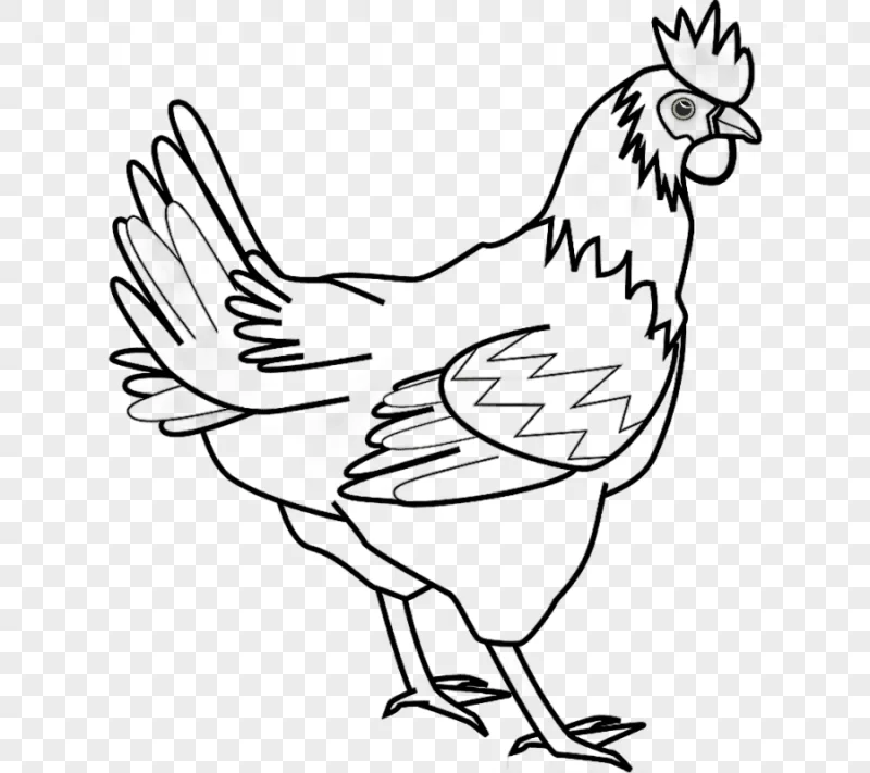 png clipart white cut chicken chicken meat free farm animal white chicken meat