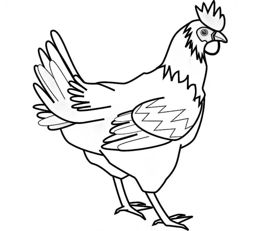 png clipart white cut chicken chicken meat free farm animal white chicken meat