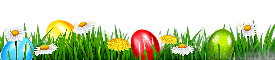 png clipart white daisy flower easter bunny easter egg easter grass computer wallpaper flo