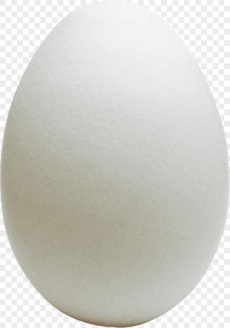 png clipart white egg chicken egg chicken egg omelette world egg day egg food download wit