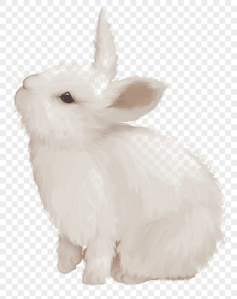 png clipart white rabbit illustration domestic rabbit white rabbit easter bunny european r